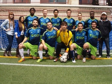 Team bulls
